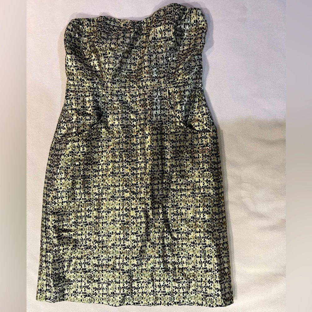 The Limited‎ Dress